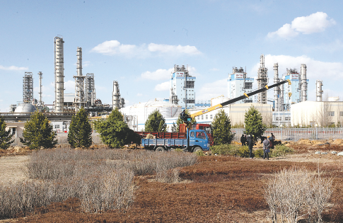 布鲁伊游戏角色